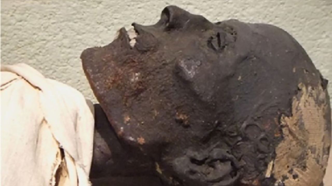 Analyzing Ancient Egyptian Embalming Without Causing Damage