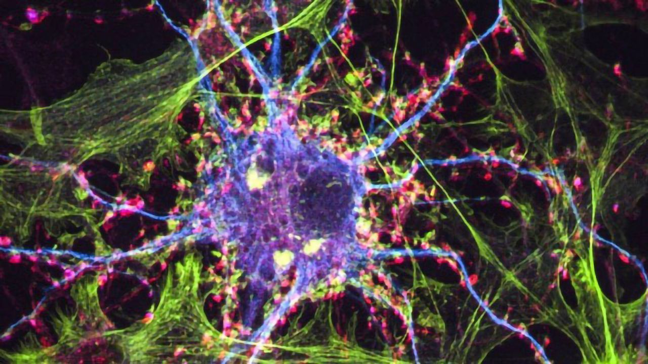 New Psychedelic Drug Could Treat Addiction and Depression, Without Hallucinations