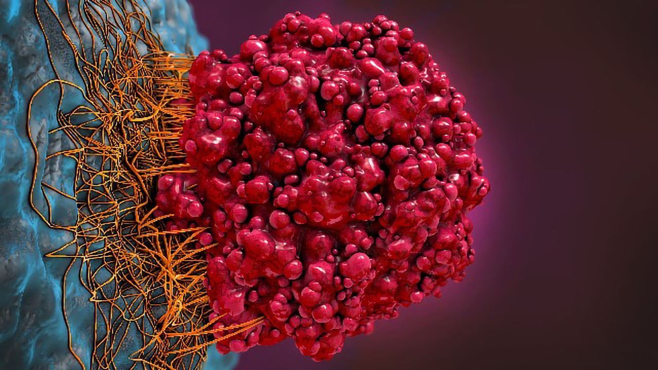 Preventing Tumors From Repairing Their Own DNA