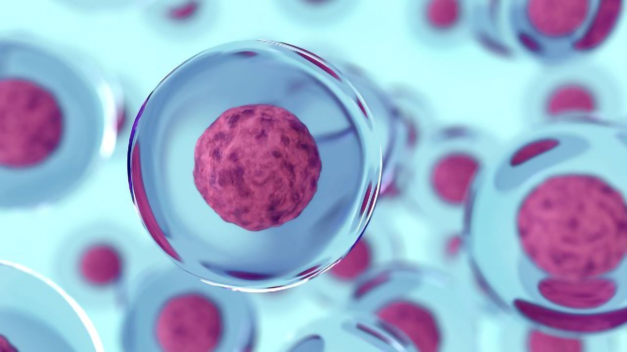 How Can Data Platforms Unlock the Power of Single-Cell Analysis?