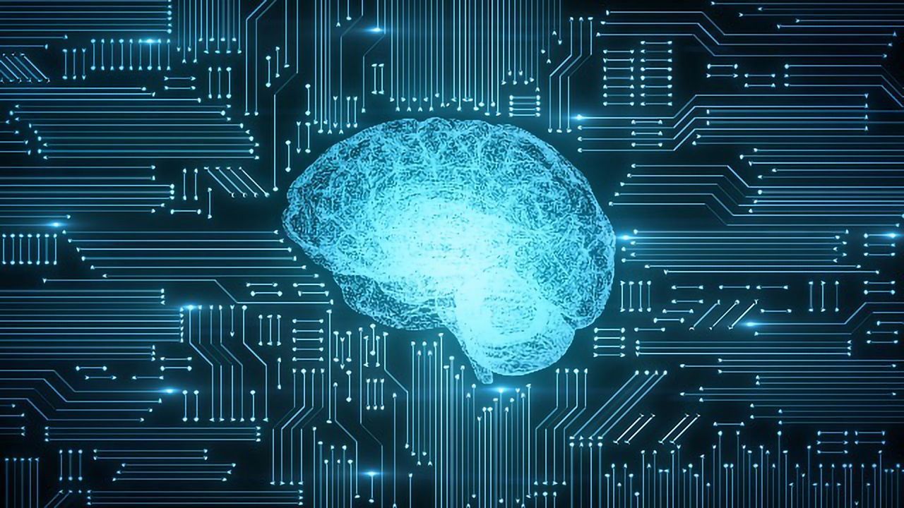 Can We Train AI To Adapt Like Human Brains?