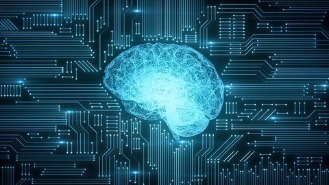 Can We Train AI To Adapt Like Human Brains?