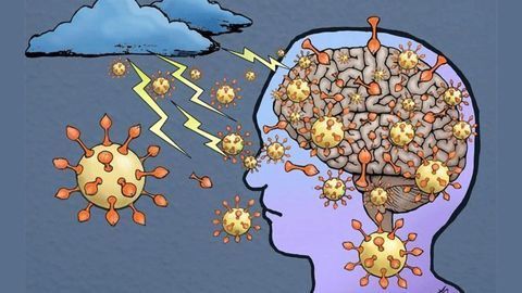 Spike Protein Study Gives More Evidence That COVID-19 Enters the Brain
