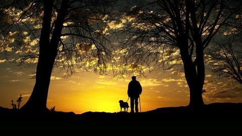 Rural Lifestyle Leads to Healthier Skin Microbiome in Dogs and Owners