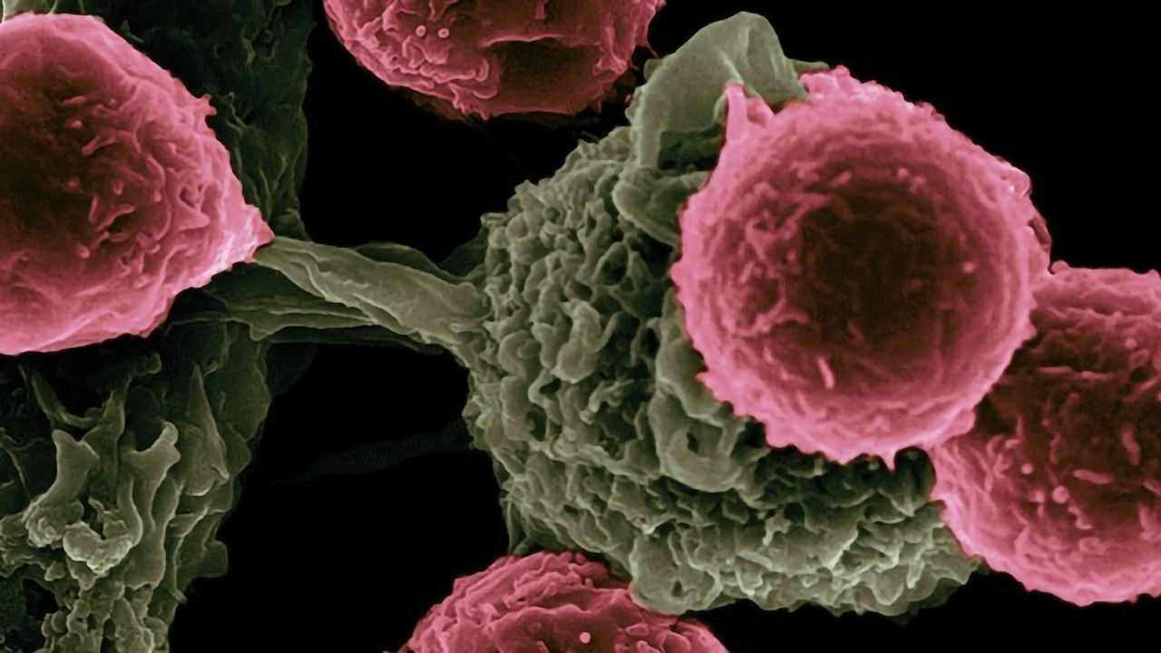 $10 Million Grant from Exact Sciences To Support Stand up to Cancer Initiative