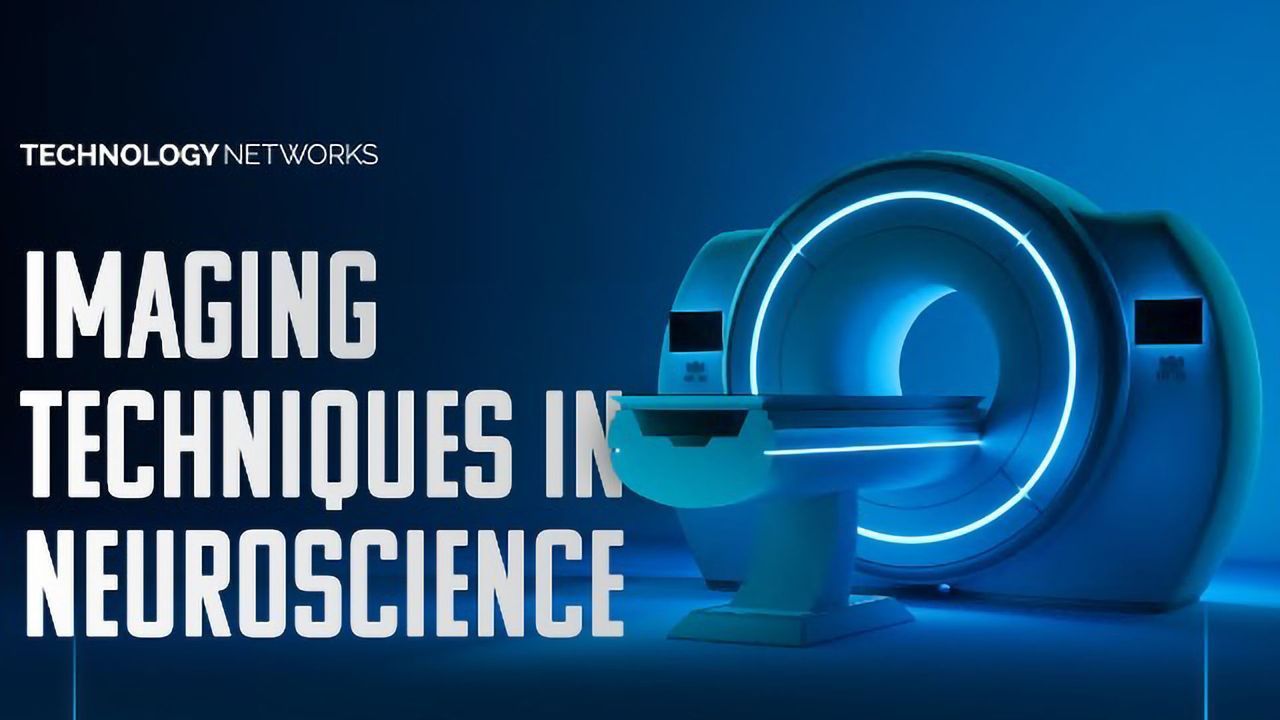 Imaging Techniques in Neuroscience