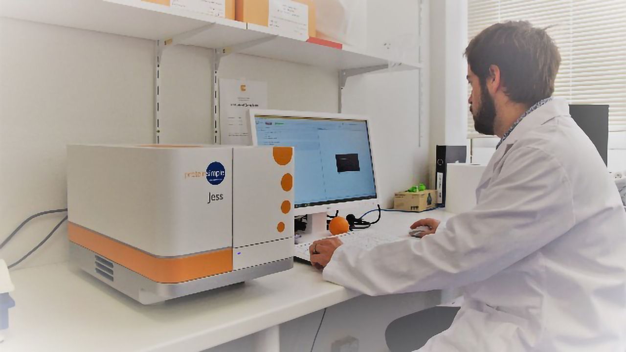 An Automated Age for Western Blotting