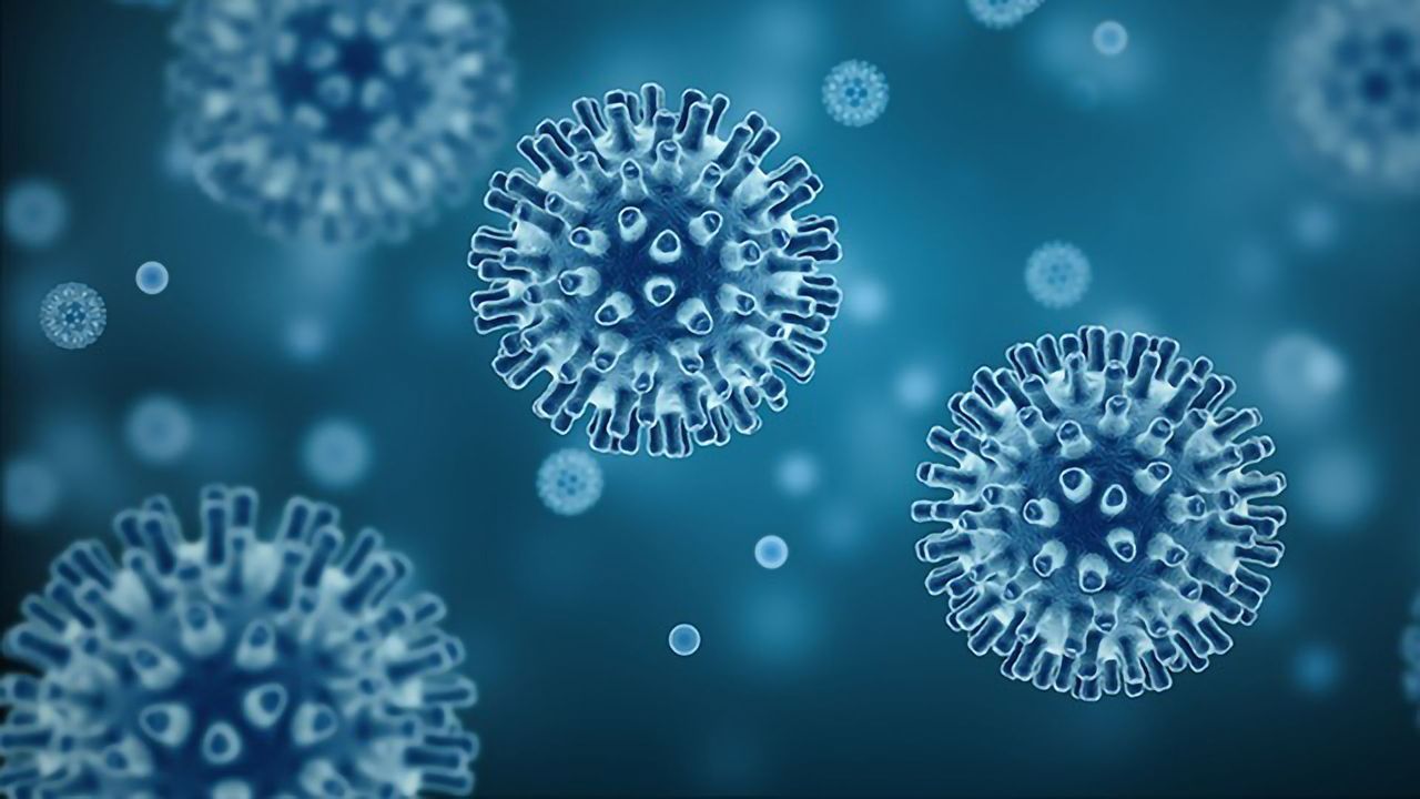Fungi Get Viral Infections Too