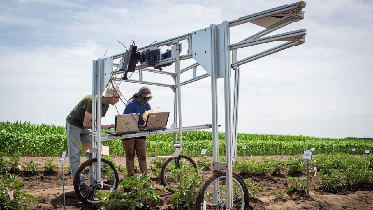 Screening for Favourable Crop Traits With Photosynthetic Light