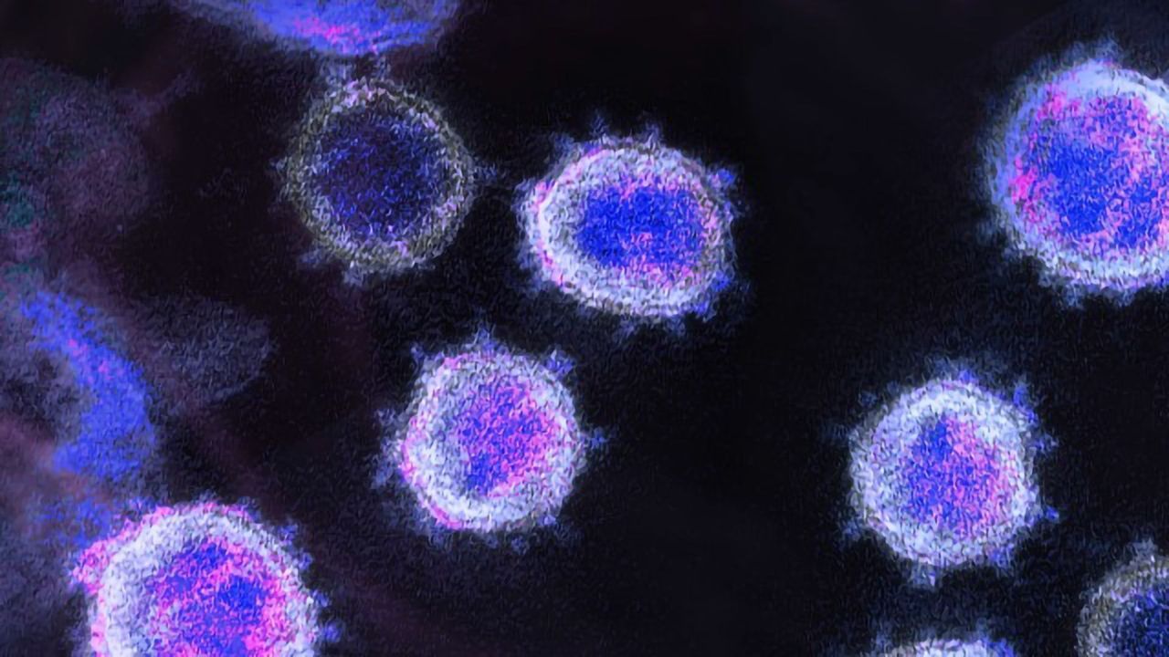 Global T-Cell Scientists Unite in Fight Against Infectious Disease