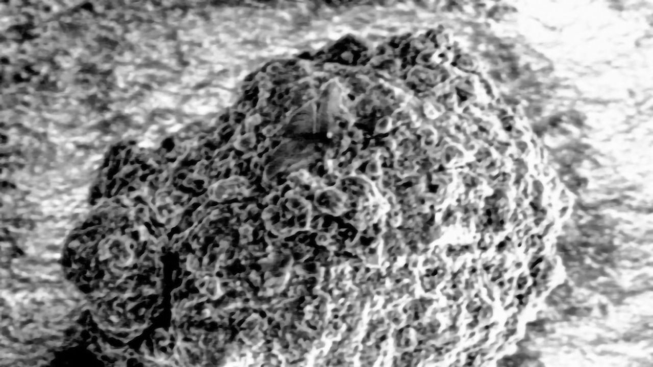 Near Atomic Scale Look at Soil Has Surprising Results