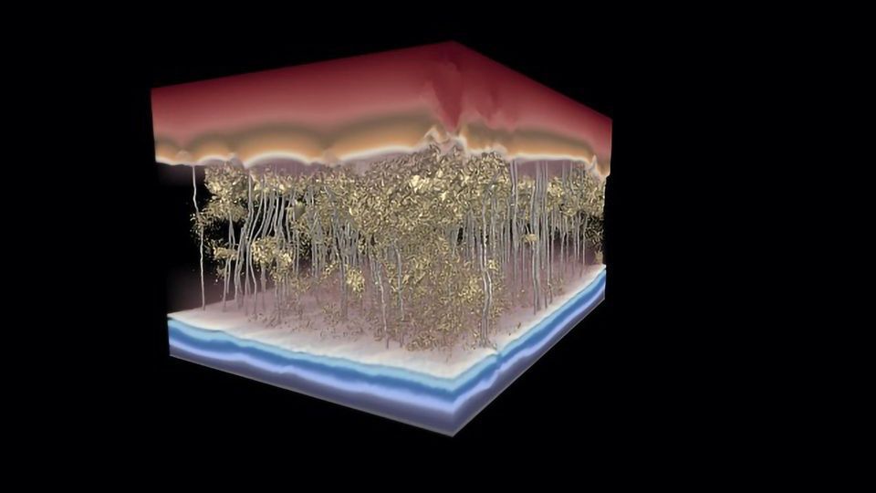 Desalination Innovation Could Make Water Filtration More Cost-Effective content piece image