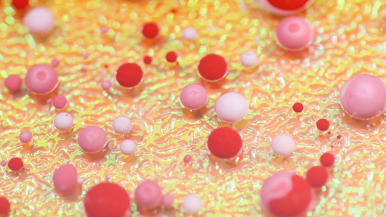 Hemoglobins Born "Independently" Descended From a Single Gene