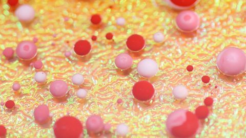 Hemoglobins Born "Independently" Descended From a Single Gene