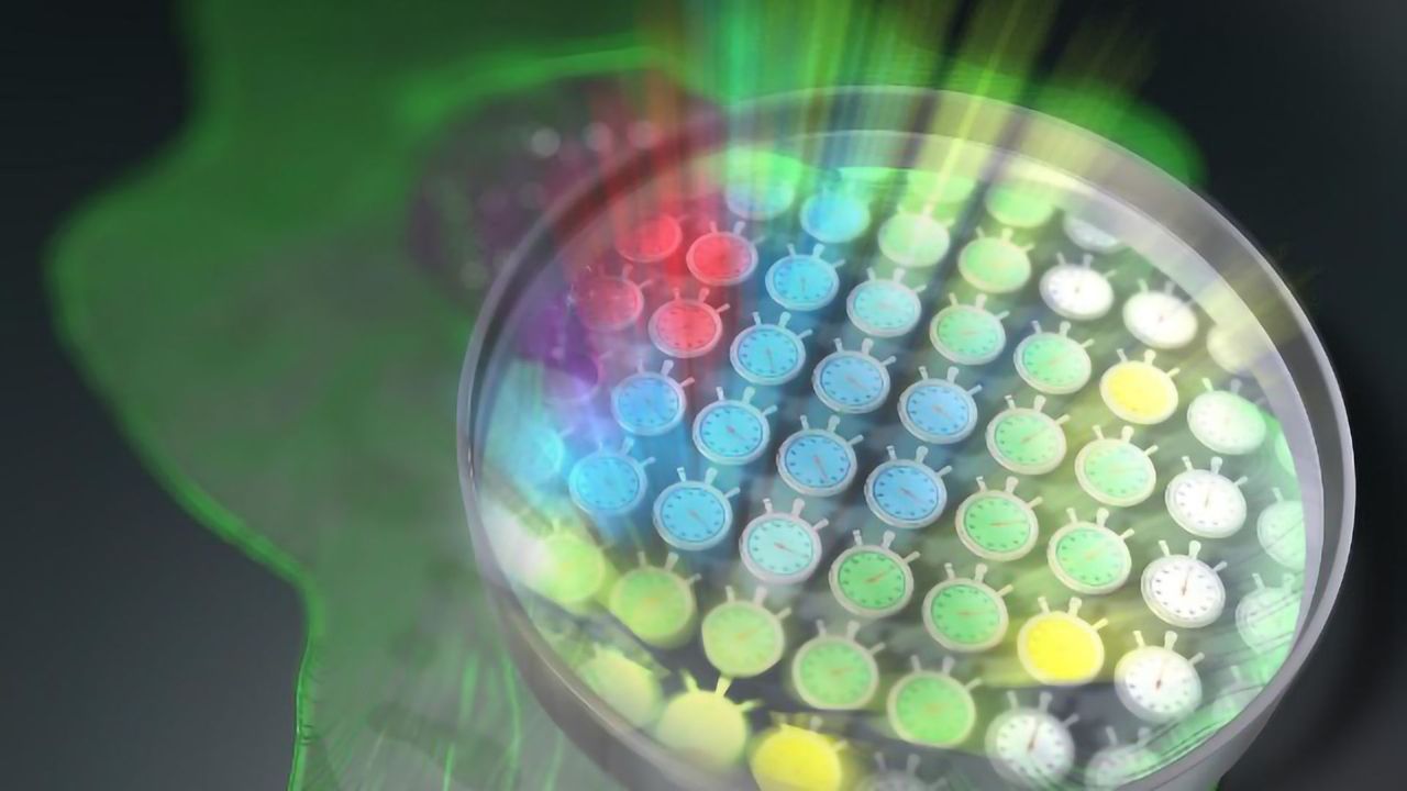 Revolutionary Advance for Fluorescence Microscopy