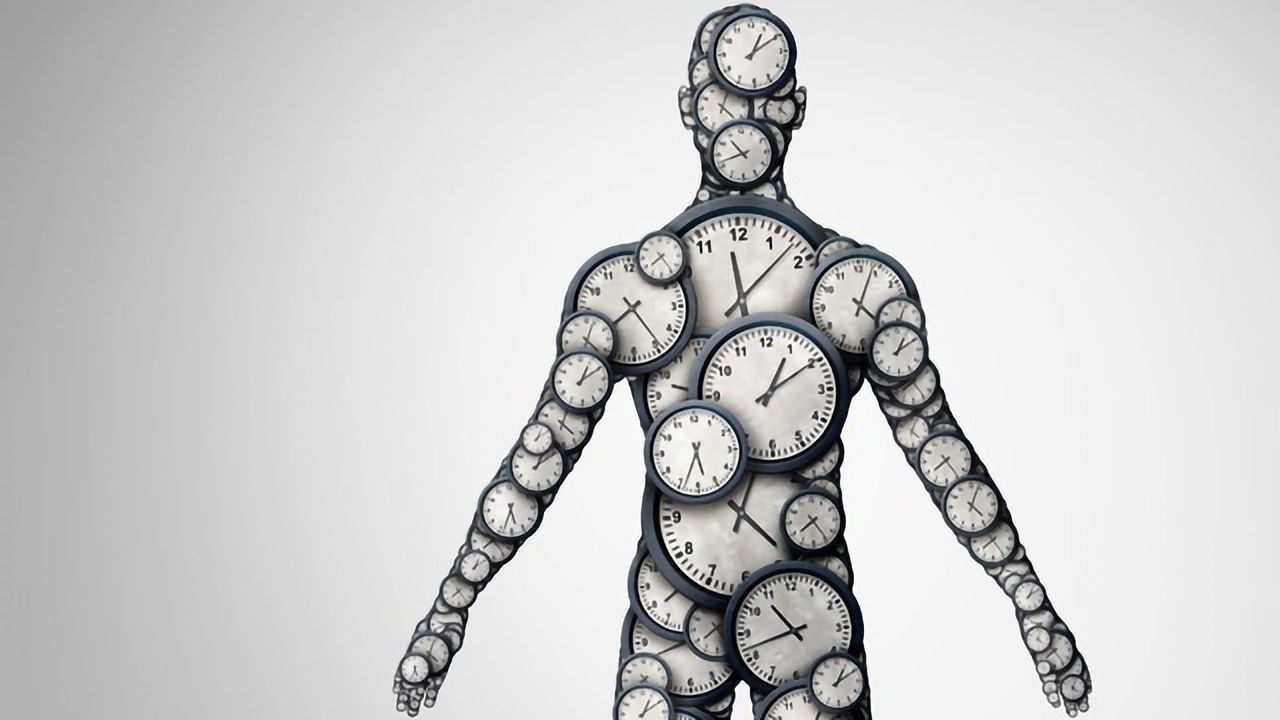 Exploring the Human Chronobiome and Precision Medicine Approaches