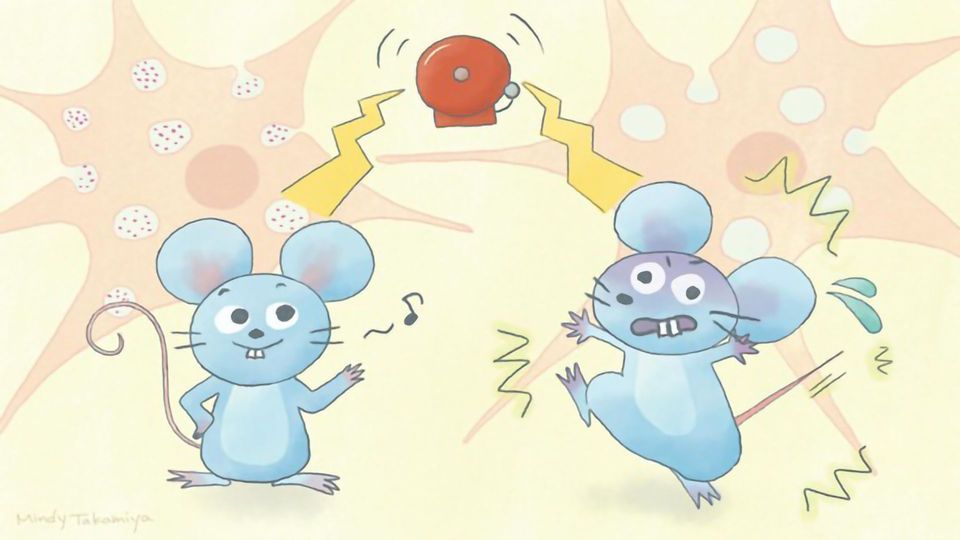 Cholesterol Transport Protein Linked to Schizophrenia in a Mouse Model content piece image