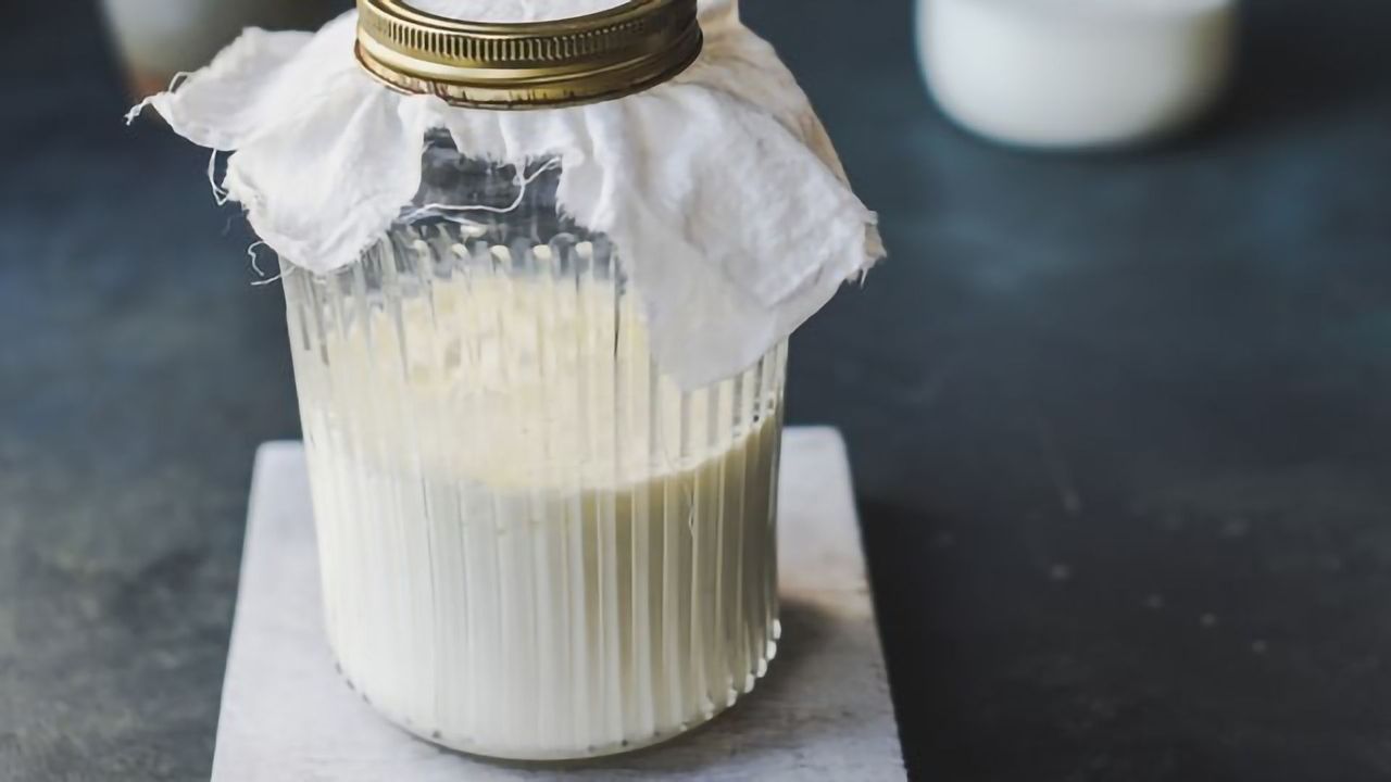 Making Kefir Takes Microbial Teamwork