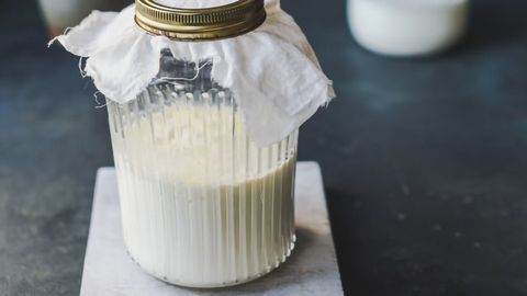 Making Kefir Takes Microbial Teamwork