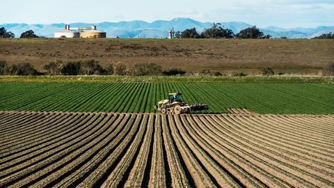 Role for Bacteriophage in Protecting Agriculture and Aquaculture