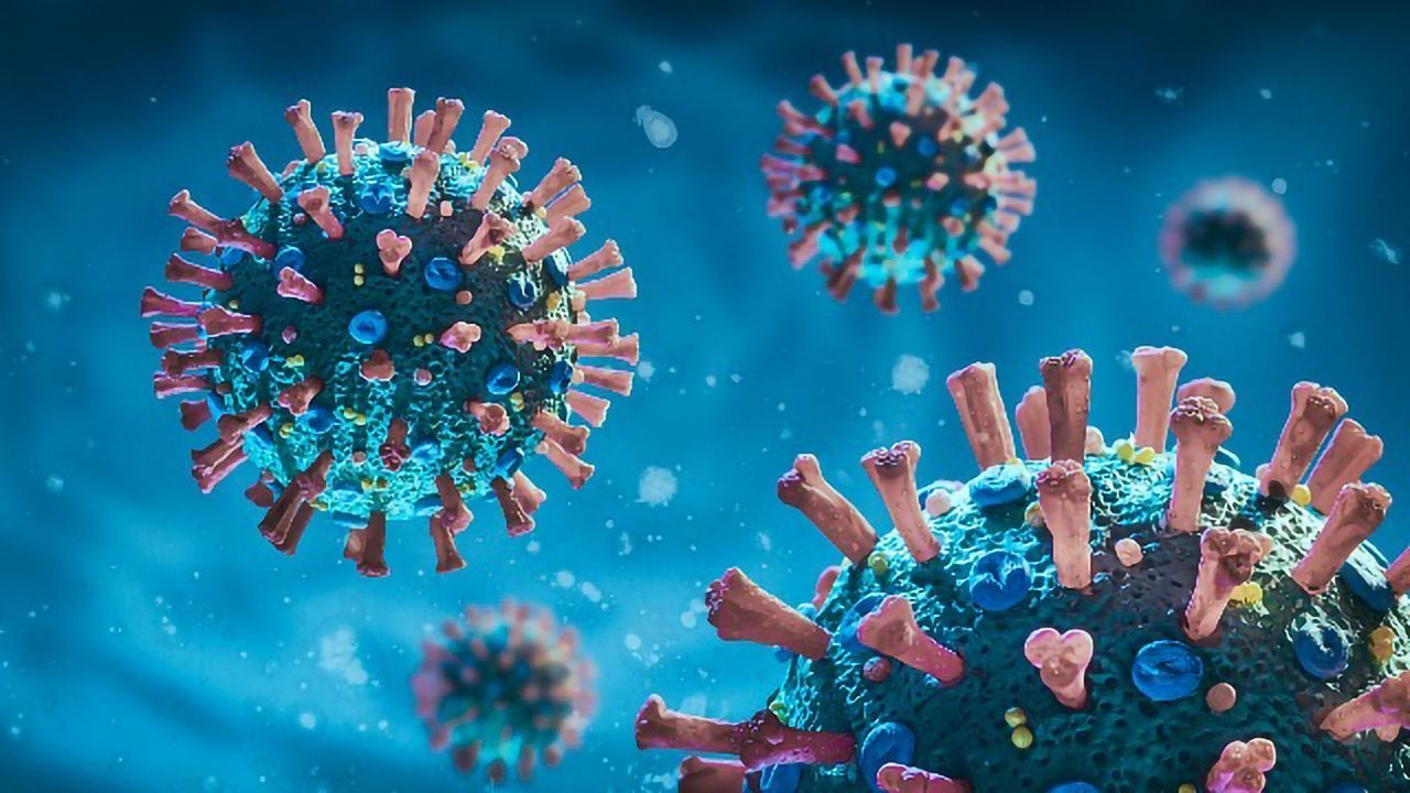 RNA Viruses and the Natural Compounds That Could Disrupt Them