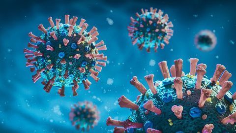 RNA Viruses and the Natural Compounds That Could Disrupt Them