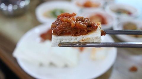 Scientific Definition of "Fermented Foods" Agreed by Experts