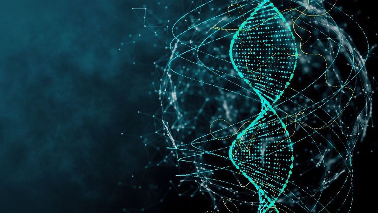 DNA-Editing Extends Lifespan in Mouse Model of Progeria