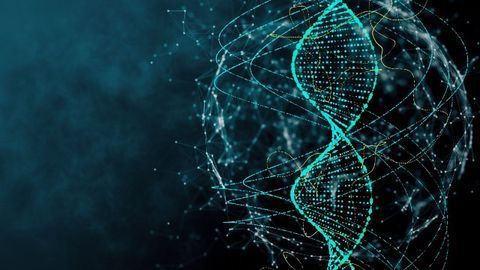 DNA-Editing Extends Lifespan in Mouse Model of Progeria