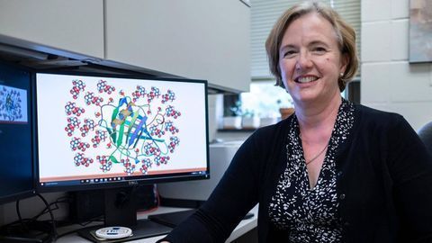 New Form of Osteoporosis Drug Created To Improve Efficacy and Safety