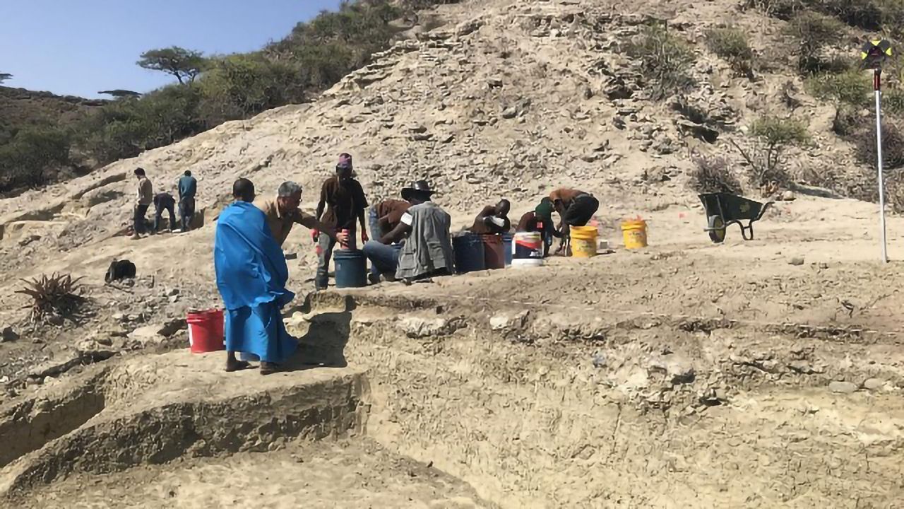 Primitive Hominins Coped With Environmental Change Too