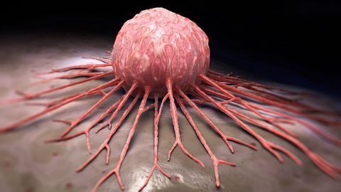 Small Molecule-Based Drug Combo Could Help To Inhibit Growth of Neuroblastoma