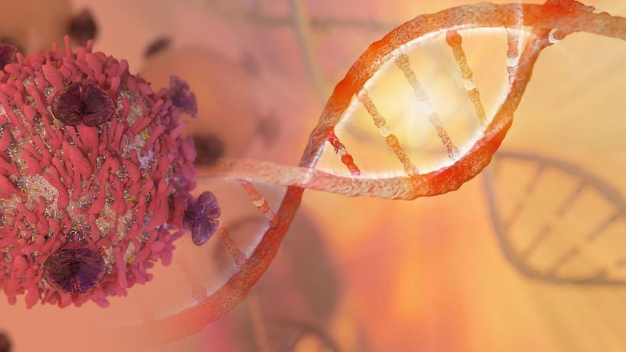 Comprehensive Database of Head and Neck Cancers Established