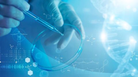 Proteogenomics Identifies Molecular Subtypes in Head and Neck Cancer