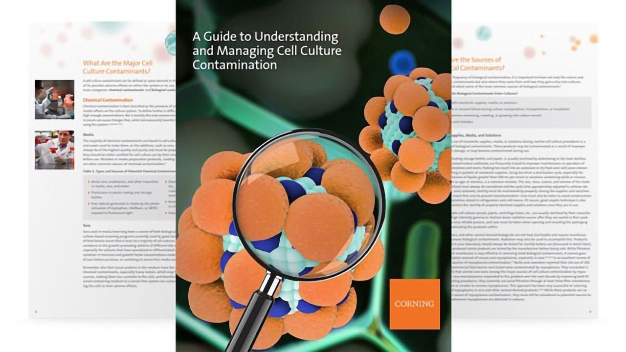 Understanding and Managing Cell Culture Contamination