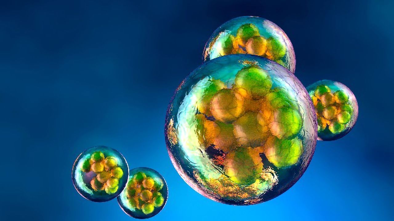 Advances in Single-Cell Sequencing and Their Applications