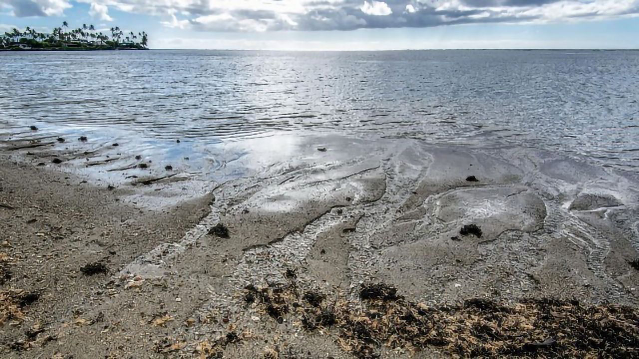 Importance of Groundwater Discharge to Ocean Chemistry Highlighted