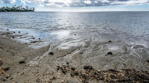 Importance of Groundwater Discharge to Ocean Chemistry Highlighted