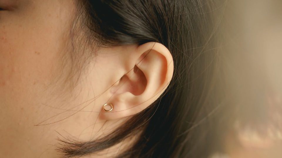 Our Brains Predict Every Sound We Hear content piece image