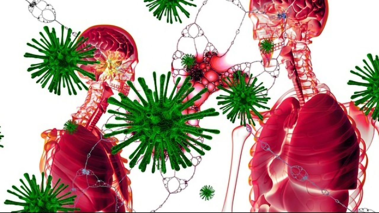 Long-Lasting Immune Cells in Lungs May Help To Defend Against Subsequent Viral Infection