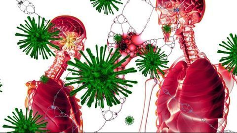 Long-Lasting Immune Cells in Lungs May Help To Defend Against Subsequent Viral Infection