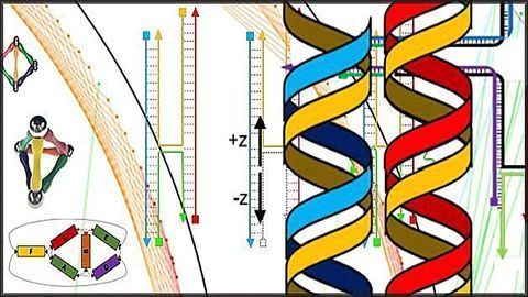 A How To Guide for Creating DNA Origami
