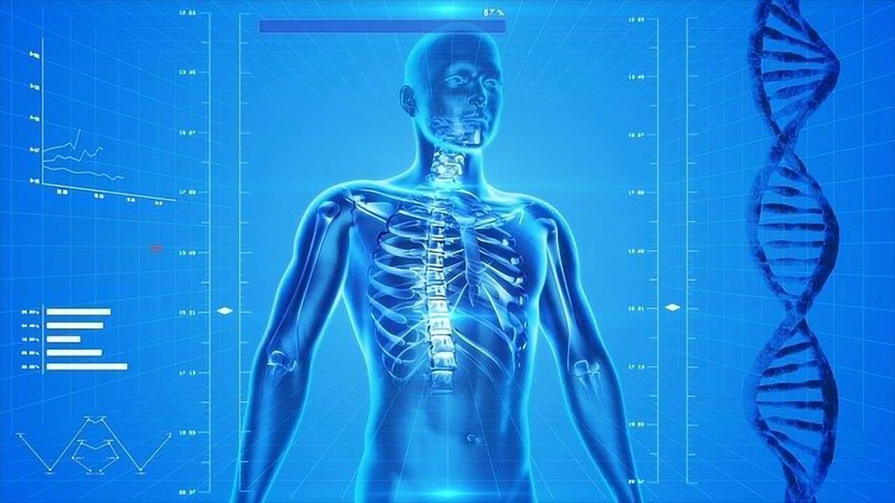 Surprising Behavior of T Cells Could Explain Some Bone Loss