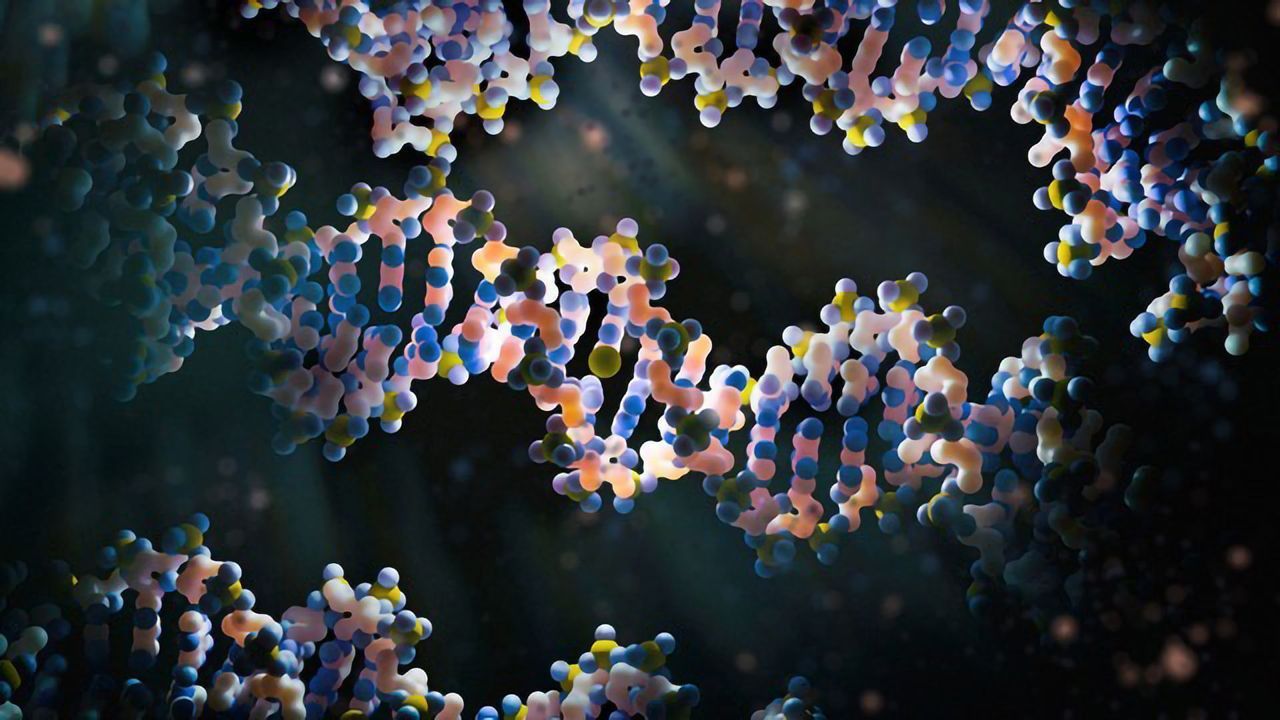 Study Finds Shortened Telomeres in Patients With Severe COVID-19