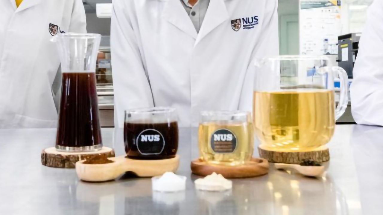 Tea and Coffee Get a Probiotic Twist