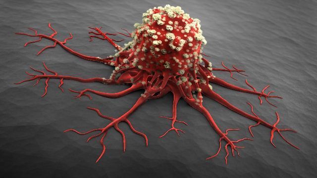 酶在肿瘤细胞可以用来监测癌症治疗内容块的形象