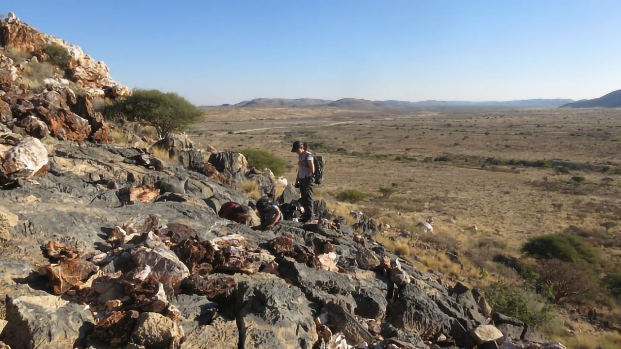 Well-Preserved Fossils Are Answering Questions That Perplexed Darwin