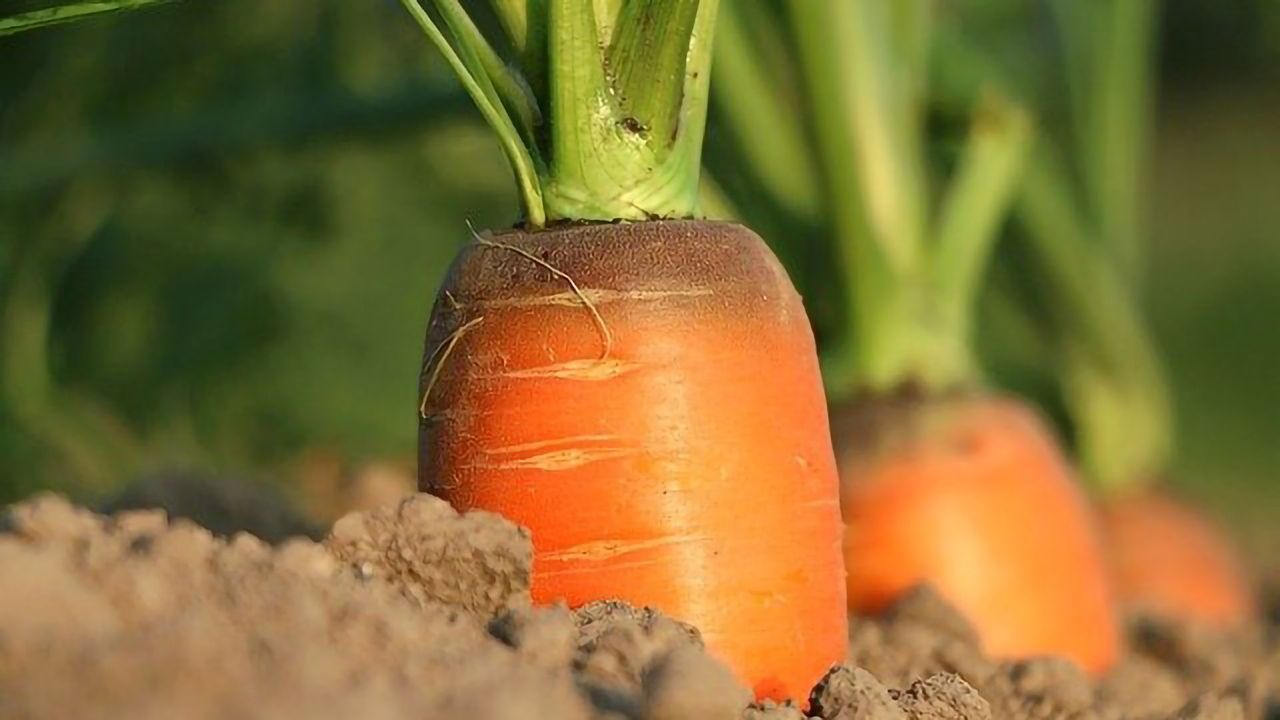 Climate Change Is Becoming a Problem You Can Taste