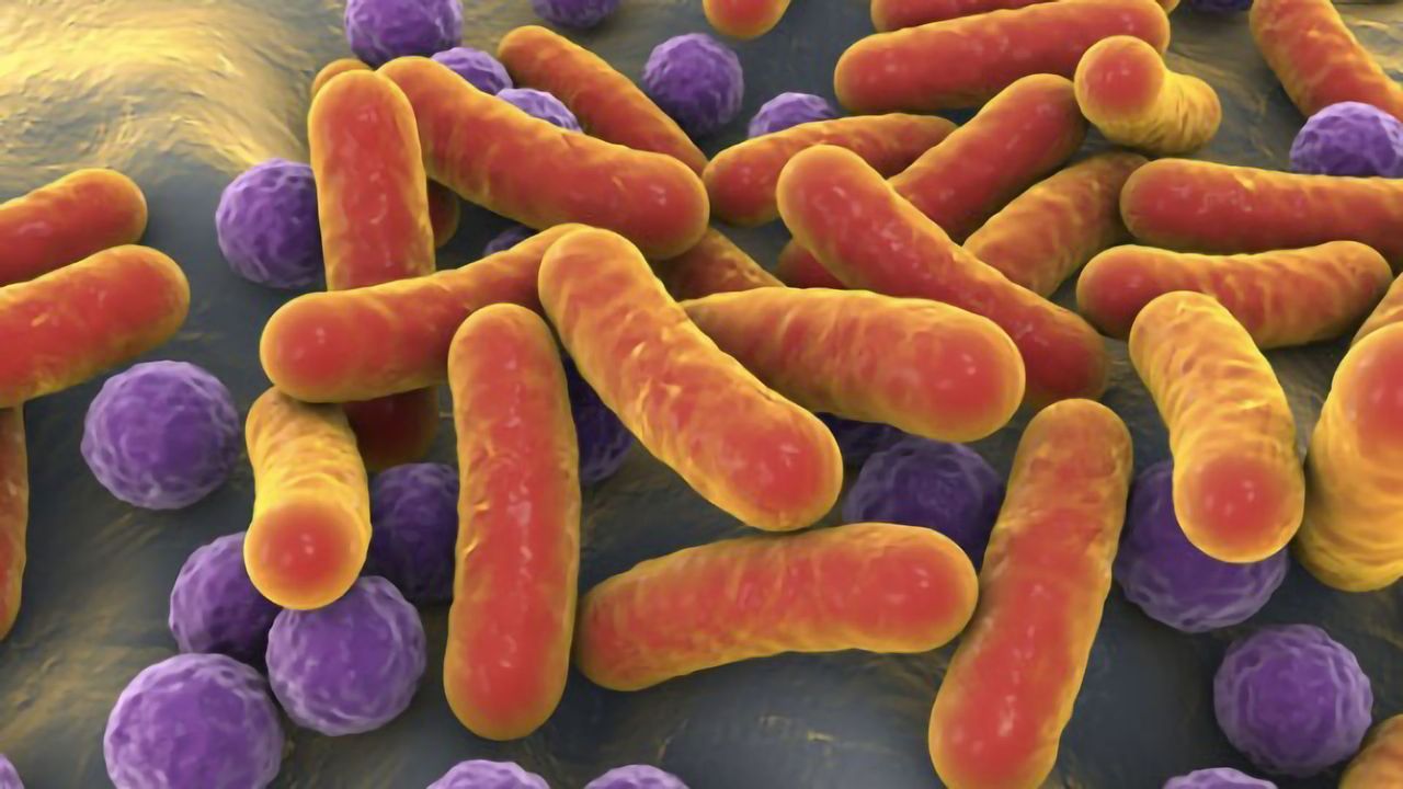 Painting a Clearer Picture of the Cancer Microbiome