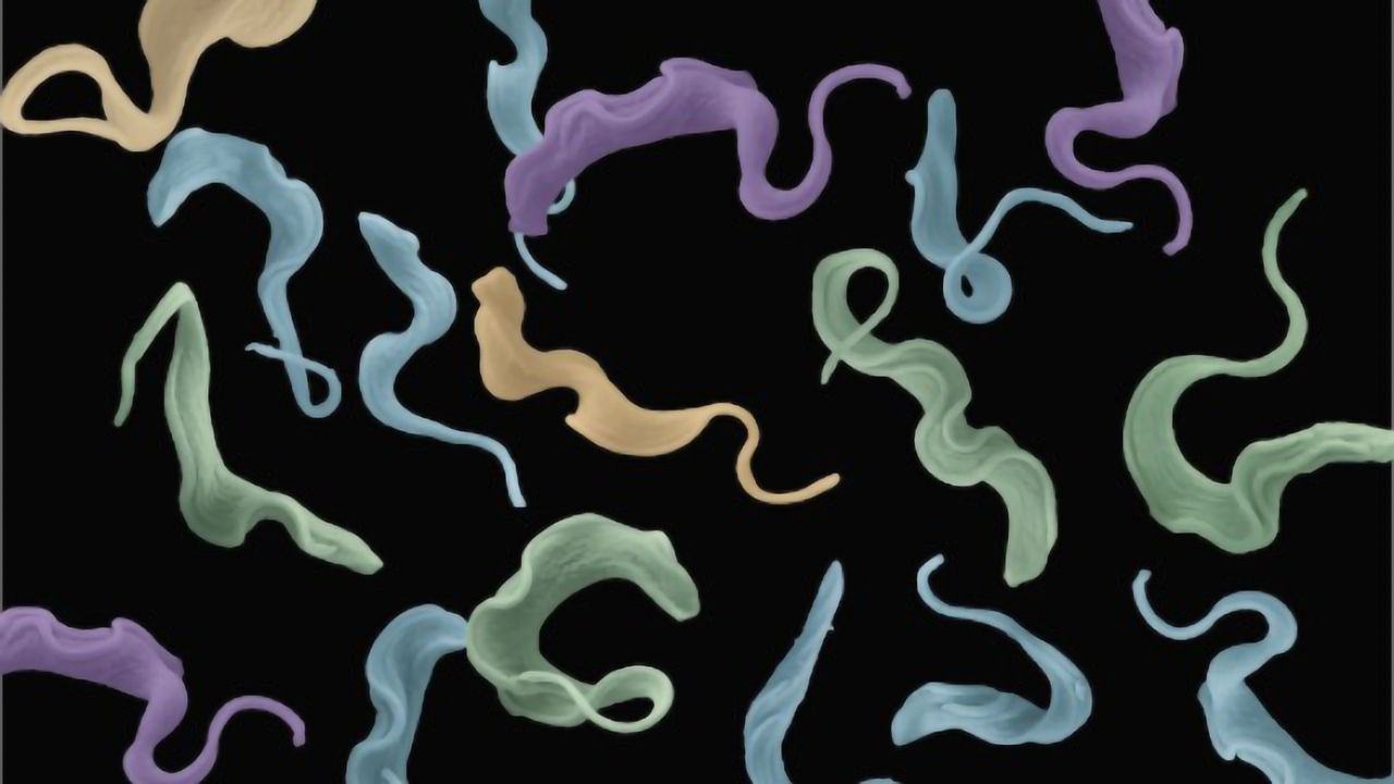 How Pathogens Evade the Immune System